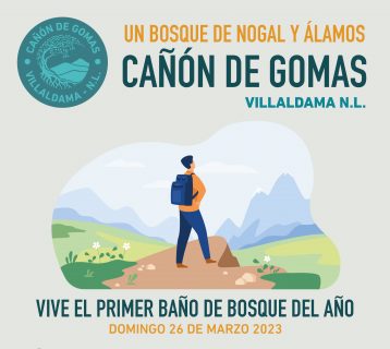 canon-de-gomas