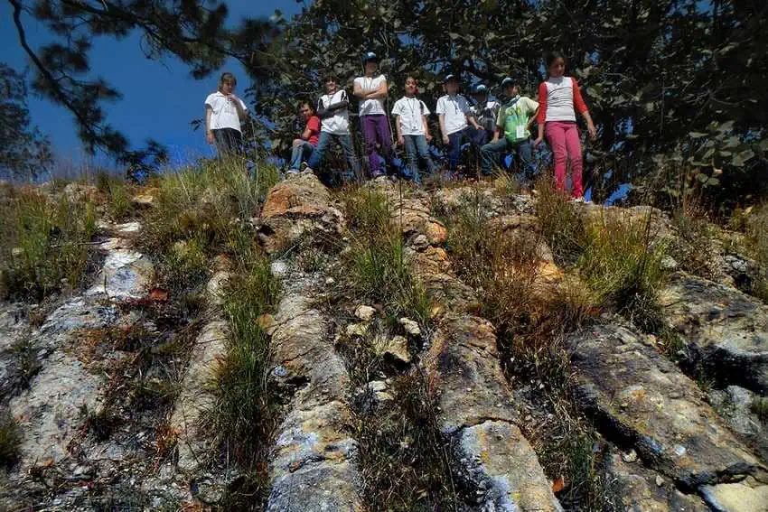 Tuberías largas yacen expuestas a la vista cerca del Camping Agua Dulce en el Bosque Primavera.